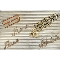 Antique Russian Silver Gold Cigarette Case with Souvenirs image 7