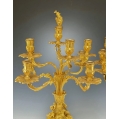 Pair of Monumental 19C Antique French Rococo Revival Gilt Bronze Candelabra image 1